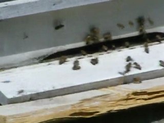 kemer köyümüzde bir yaz günü