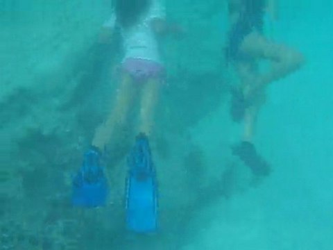 Piscine nat enfants plongée 05 02 10