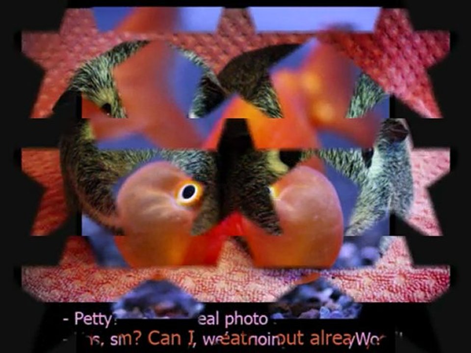 FurryTalk #7 v090-817 Cutu