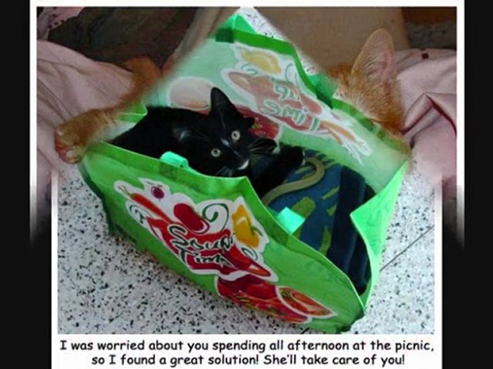 FurryTalk #8 v091-006 Zuzu-zuzu