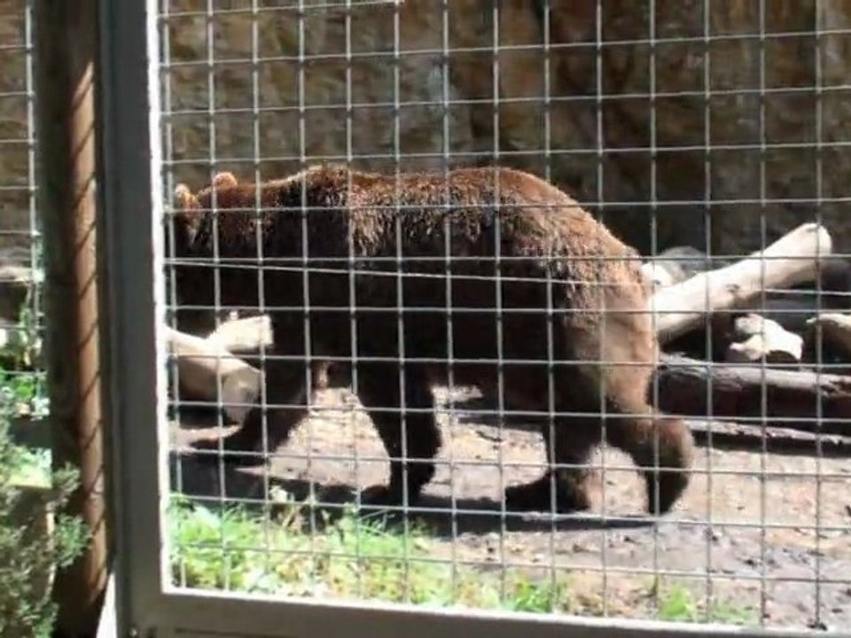 ZOO DE LA BARBEN  (été 2009)