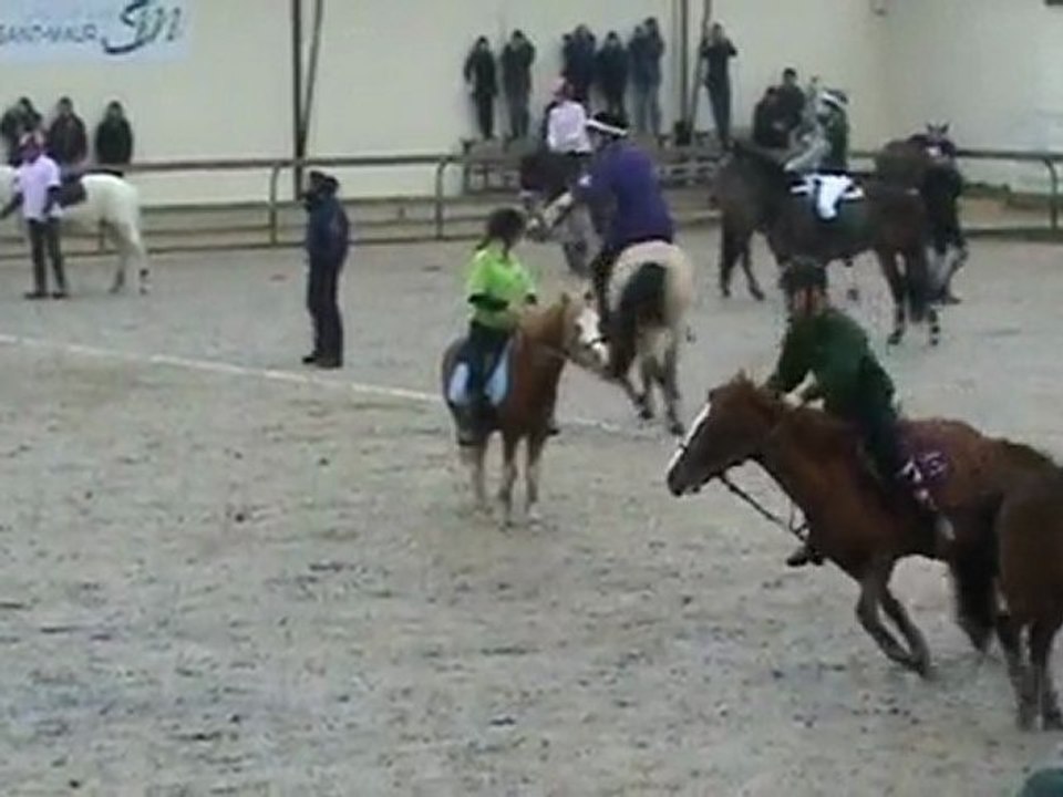 FLYERS FOX PETIT PRES 24/01/2010