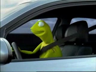 BMW avec Kermit