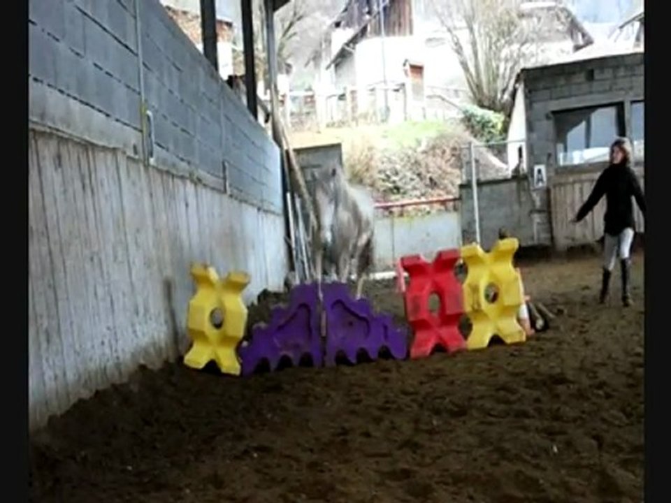 orelle manège