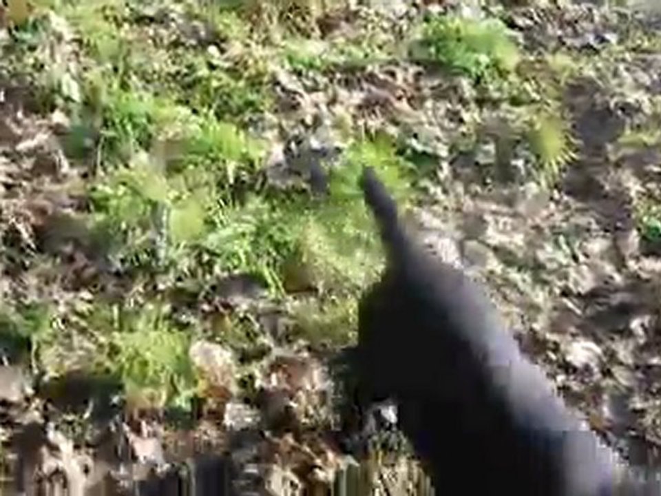 éole, véga et bounty le 27/01/2010