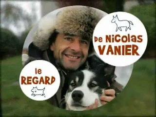 Entre chiens et nous