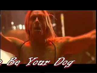 The Stooges * i wanna be your dog *19-8-2006