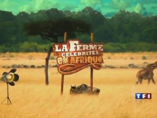 La Ferme Célébrités : Teaser n°1