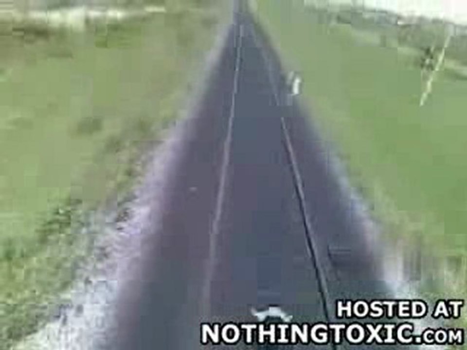 Ecraser des vaches, c'est vachement cool [liddel]