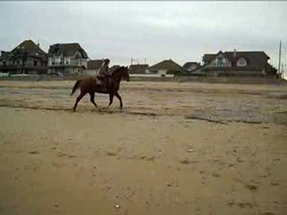 reve au saut