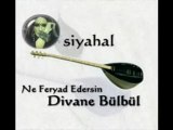 Siyahal - Ne Feryad Edersin Divane Bülbül