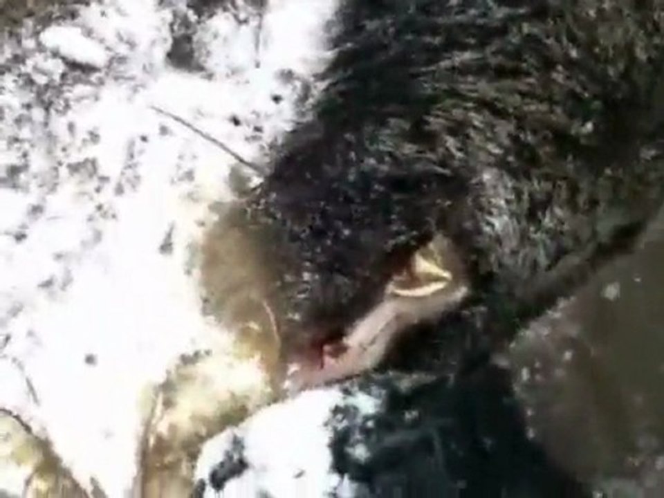 Doludere Köyü Avcıları-3