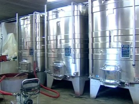 Martine et Pierre-Marie CHERMETTE - Domaine du Vissoux