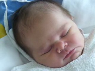 Adélaïde 27 janv 2010