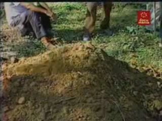 La escuela de las Américas-Terrorismo(4)