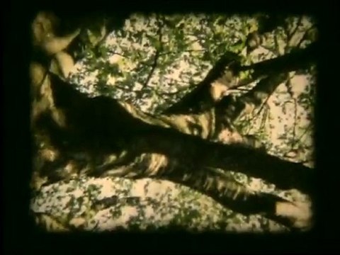 Karlito-First 133 Мb vob