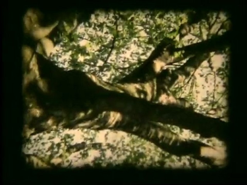 Karlito-First 133 Мb vob