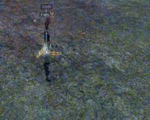 Last chaos pvp