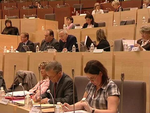 loi marleix vers la fin des conseillers géneraux, regionaux