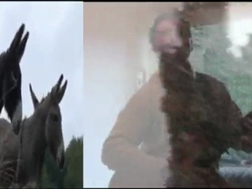 Le petit cheval (Paul Fort  Brassens) Ange Adamo