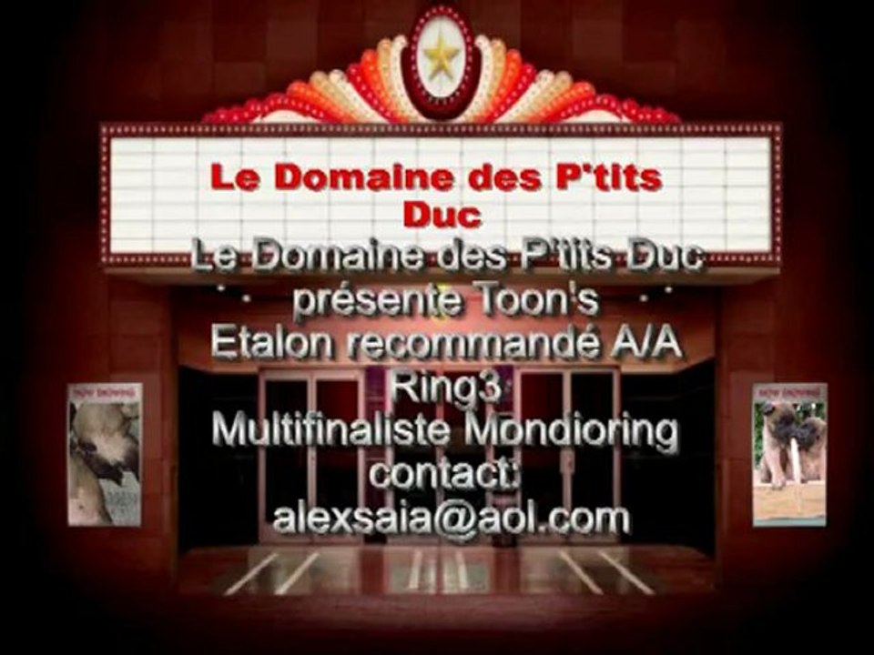 Présentation toon's