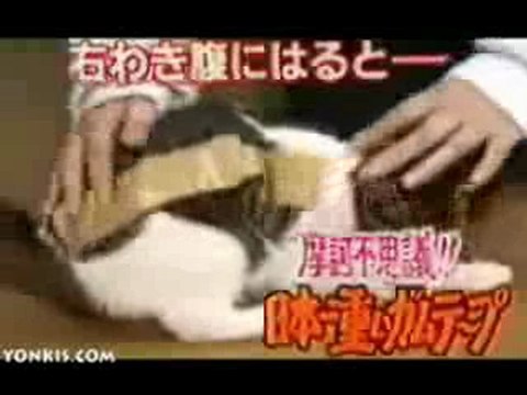 Nastro adesivo a pelo