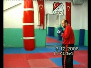 Spinning back kick