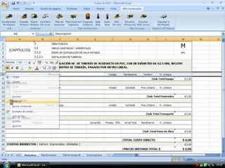 23.APU Constrcutor Estructura Del Unitario