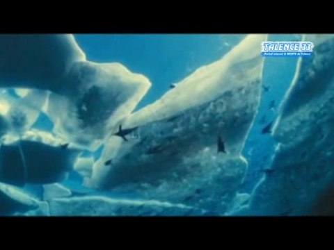 Avant Première du film Océans au Gaumont Talence