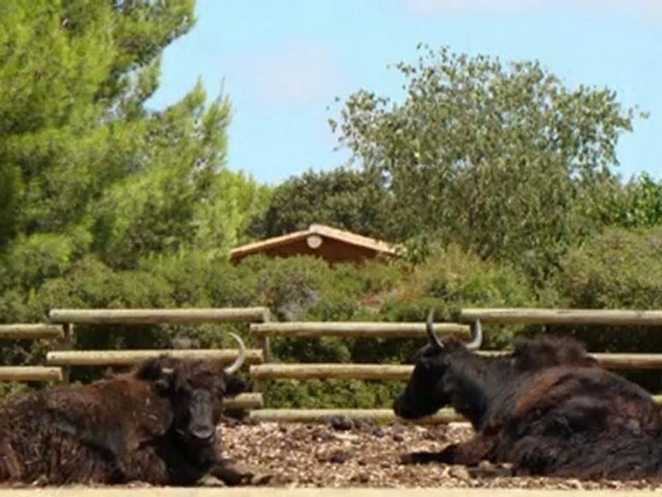 ZOO DE LA BARBEN (photos)
