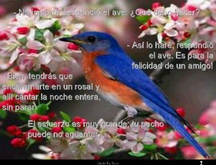 Video 105 EL SECRETO de La Ley de La Atraccion