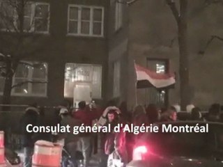 Supporters Égyptiens devant le consulat d'Algérie Montréal