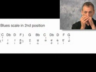 Harmonica Lessons - Baby Peas Dont Grow