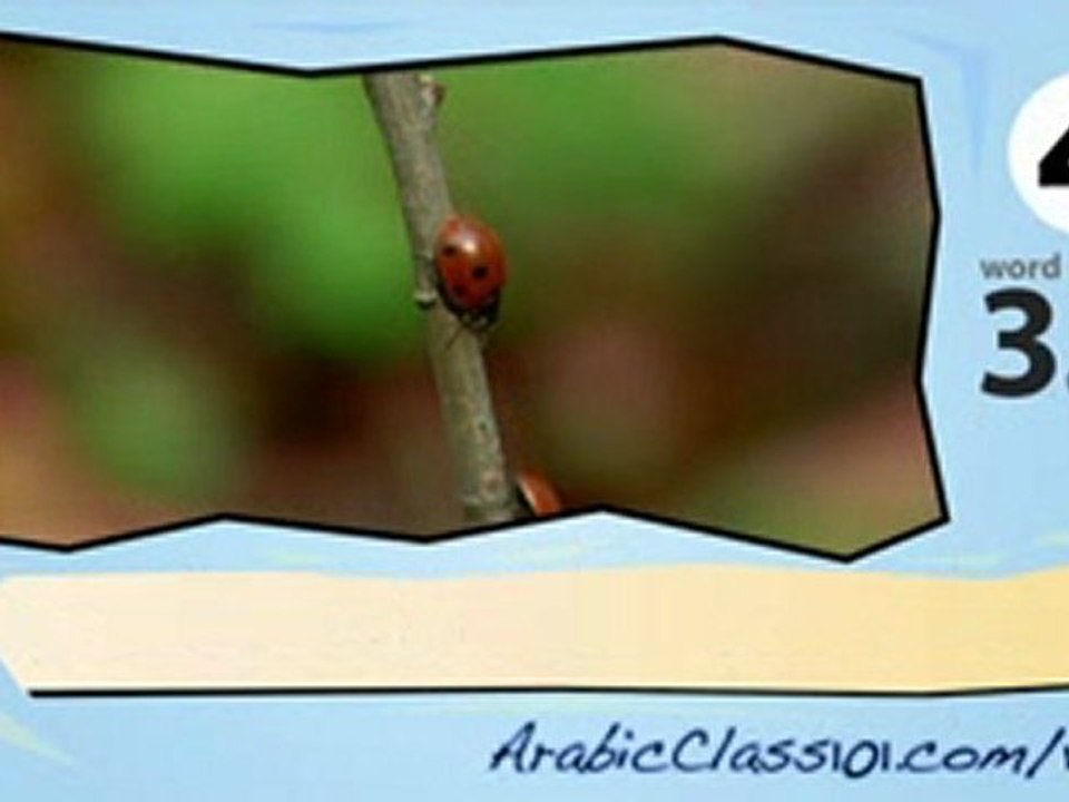 Learn Arabic – Learn with Arabic Insect videos