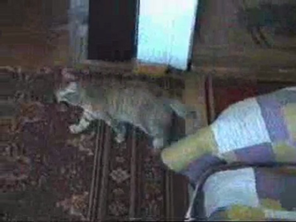 basja2