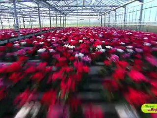 Economie : "L'avenir pousse en Anjou"