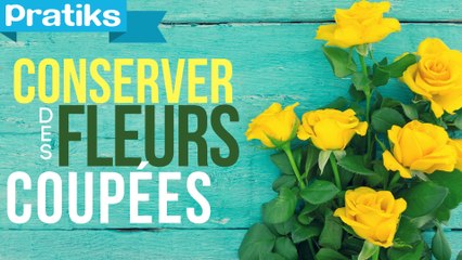 Comment conserver des fleurs coupées