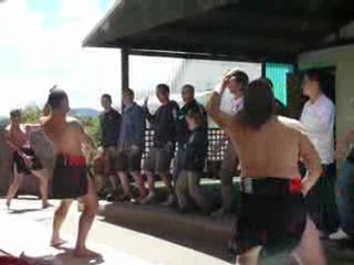 nouvelle zelande : Le HAKA de bibi