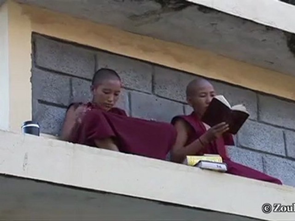 Art et philosophie dans le bouddhisme tibétain