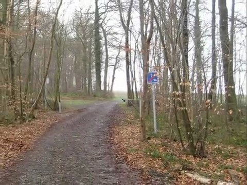 Diaporama de l'année 2008 - 4ème partie