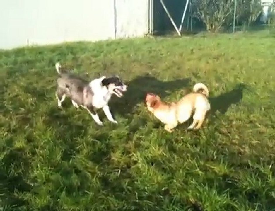 video Irina et Frida