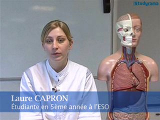 ESO : école supérieure d'ostéopathie