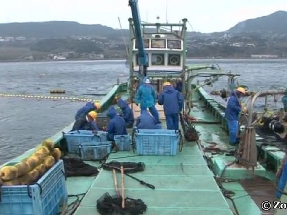 Japon, l'île aux chrétiens