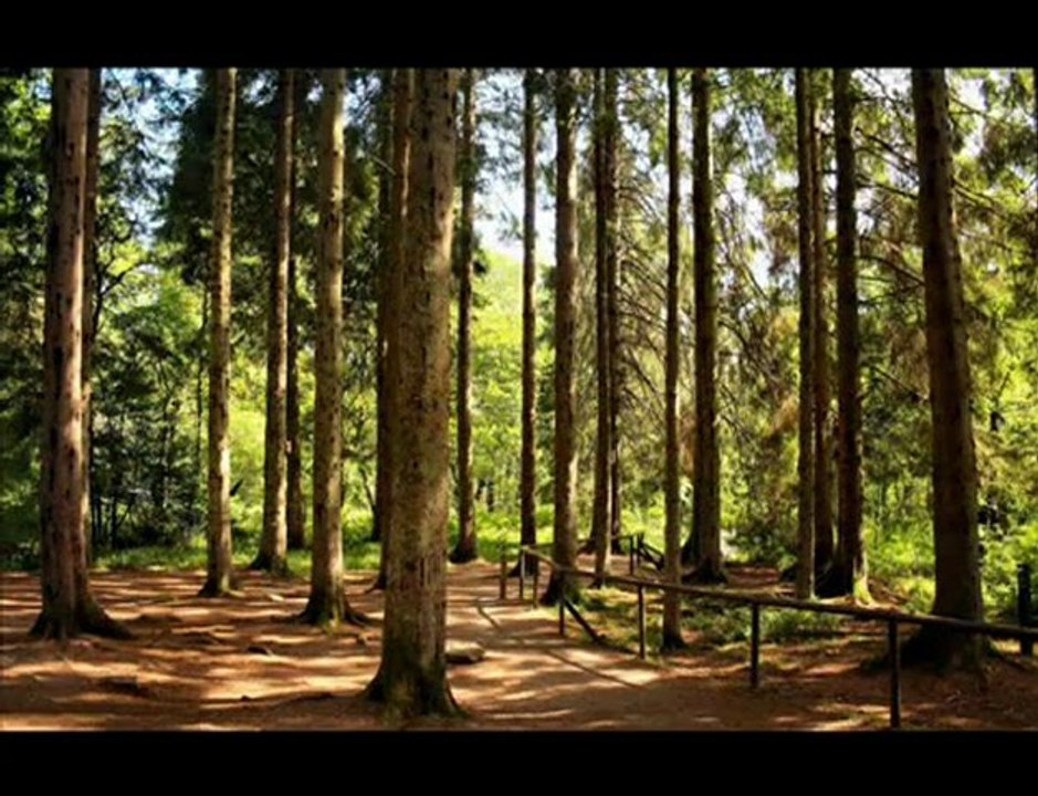 özcan deniz seyreyle güzel