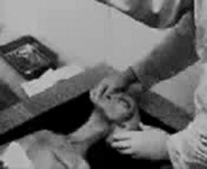 autopsie-alien-en-vie