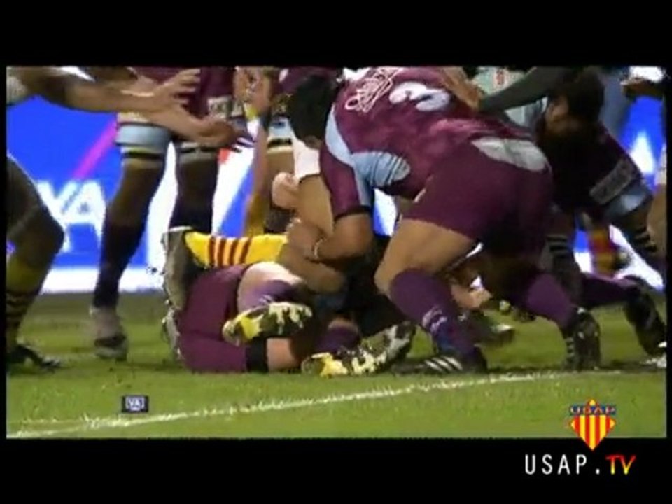 USAP-CSBJ : Le résumé