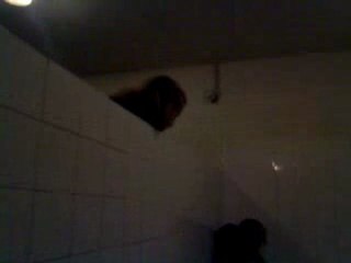 Le Flamant-rose avk ma poule mdrr tmtc <"