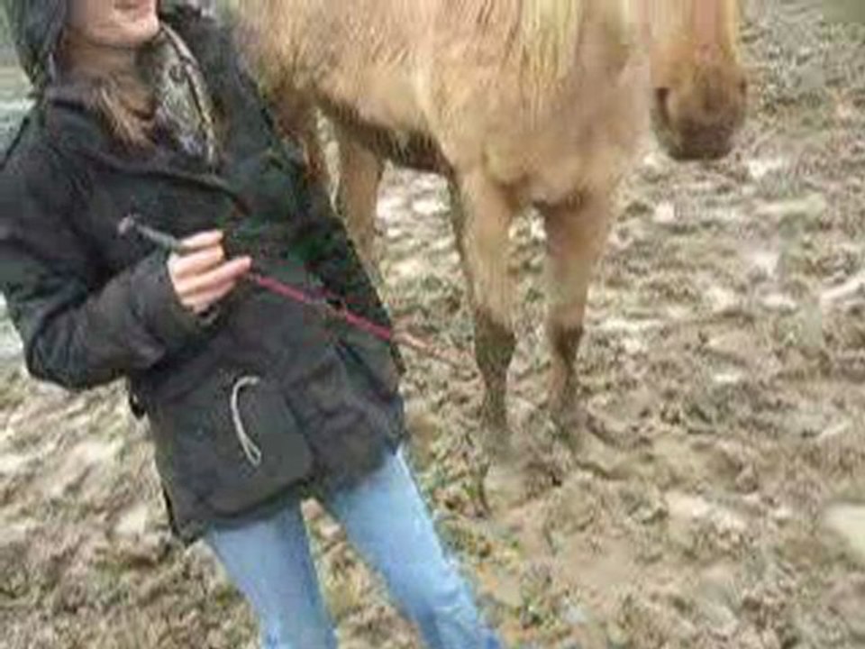 Tiz et Titbidon 1