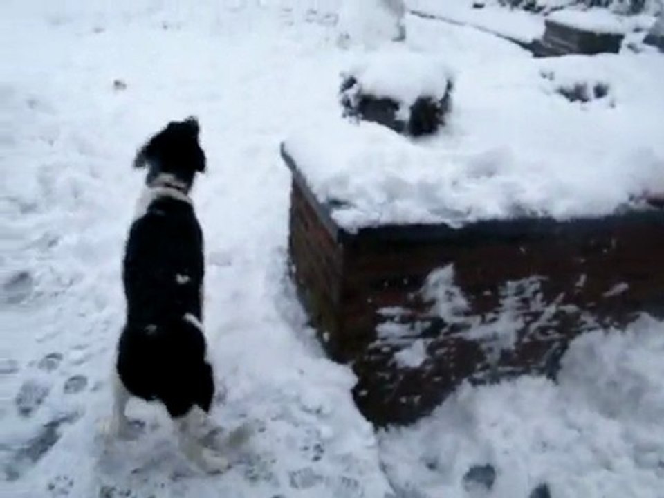 Even et le monsieur tout blanc! XD