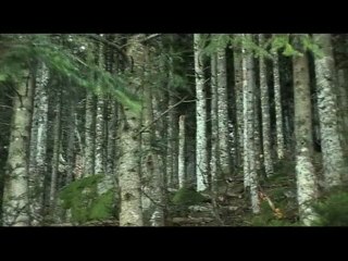 Скачать видео: Le parc National des Cévennes